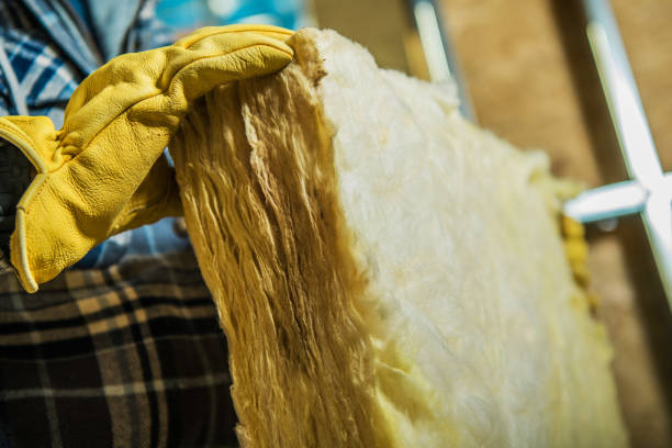 Best Insulation Installation Services in West Burlington, IA